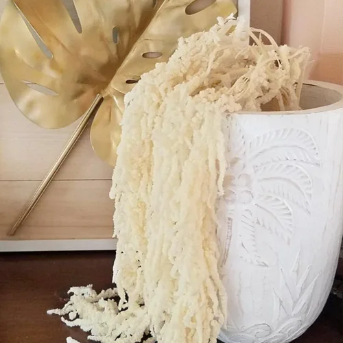 Vista 2 de Glicrili 5 piezas de flores colgantes de glicinia en color crema y blanco - Flores de Amaranthus en crema preservadas y secas para ramo de boda