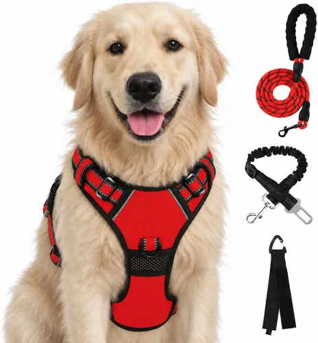 Vista 60 de FURRYFECTION - Arnés para perro a cuadros con correa y cinturón de Rosa