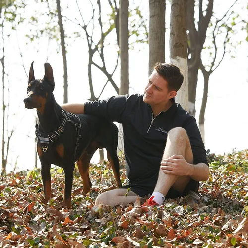 Vista 5 de BUMBIN Arnés táctico para perros pequeños sin tirones, famoso arnés de TIK TOK sin tirones para cachorros, arnés reflectante inteligente para Negro