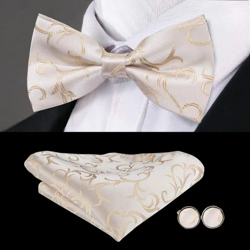 Vista 4 de Hi-Tie Juego de corbatas de seda para hombre, corbata de lazo y bolsillo cuadrado con clip de corbata plateado o pin de solapa