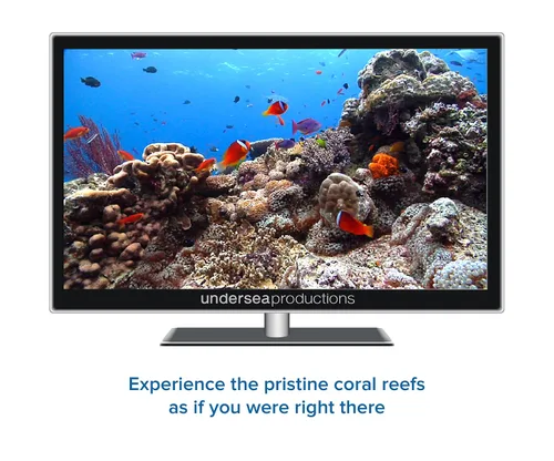 Vista 11 de Reefscapes Nature's Aquarium