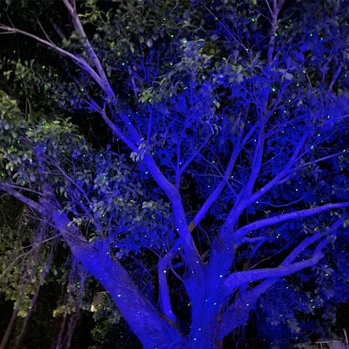 Vista 3 de Firefly - Luces de jardín con proyector de estrellas, luces láser de Navidad para jardín, césped, patio