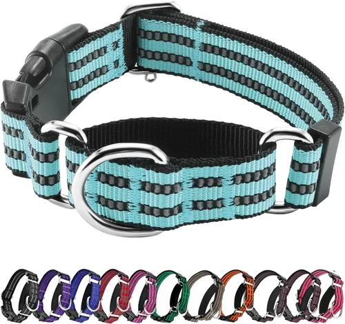 Vista 19 de Hikiko Martingale - Collar reflectante de nailon para perro con hebilla de liberación rápida, ajustable, collar de entrenamiento antideslizante