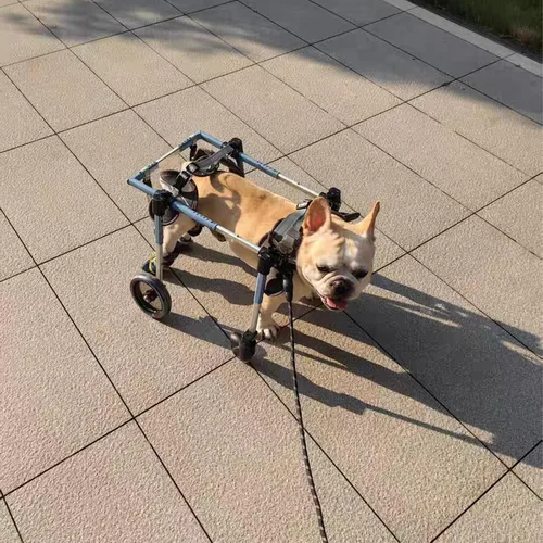 Vista 8 de Dog Wheelchair for Front Legs Medium/Large，Pet Walking Wheels Aid Belly Support,Rear Harness Groove Design，Does Not Affect Dog Defecation，The First