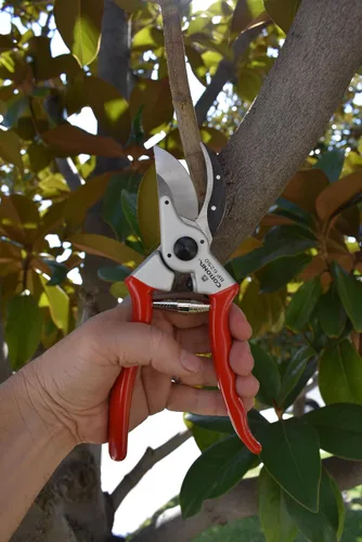 Vista 2 de Corona Tools BP 6250 MAXFORGED Podadora de derivación de aluminio, capacidad de corte de 1 pulgada, tijeras de podar manuales profesionales con hoja