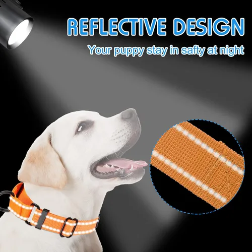 Vista 5 de 4 collares Martingale para perros, multicolor, gargantilla para perros pequeños, collar de cachorro para entrenamiento de cachorros