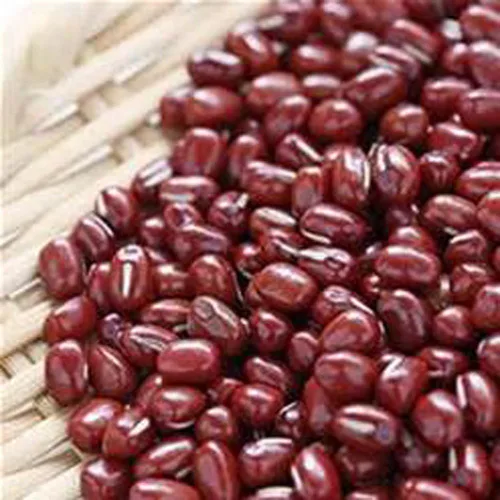 Vista 2 de Semillas de mezcla de proteínas de Peyton's para brotar microverdes, 1 libra, marca "Cool Beans n SPROUTS", un superalimento lleno de antioxidantes.