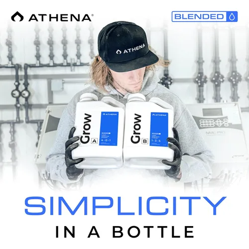 Vista 7 de Athena Blended Grow A&B Fertilizante líquido vegetativo de 2 partes para hidroponía y suelo Alimento vegetal para crecimiento en etapa vegetal