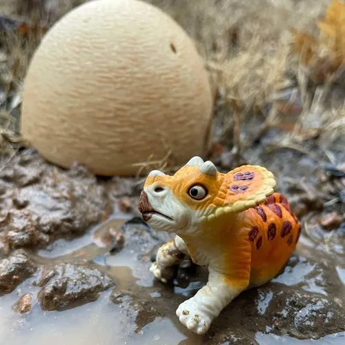 Vista 2 de Safari Ltd. Dino Dana Baby Triceratops - Figura de huevo de dinosaurio de 4.5 pulgadas, juguete educativo para niños, niñas y niños a partir de 3