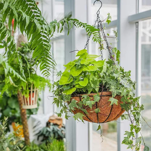 Vista 5 de GWY Cestas colgantes para macetas, 3 paquetes de 12 pulgadas, soporte de alambre de metal para plantas con forro de coco y cadena negra para colgar