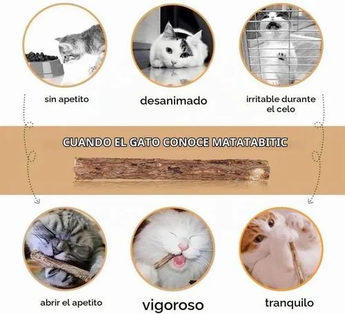 Vista 5 de WoLover 10 palitos de Matatabi, juguetes masticables Silvervine para gatos Palitos de hierba gatera natural, limpieza de dientes molar masticar