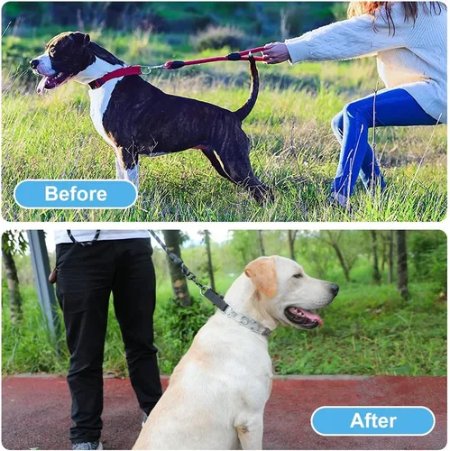 Vista 2 de Collar de punta para perro, collar de entrenamiento ajustable para perros con hebilla de liberación rápida para perros pequeños, medianos y grandes