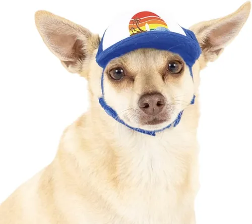 Vista 45 de Sunset Collection, sombreros de camionero de PupLid para perros (XXS) Protección solar elegante de alta calidad para el perro moderno, ajustable