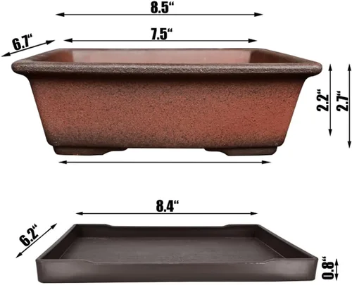 Vista 2 de MUZHI Maceta decorativa de cerámica para bonsái de 8.5 pulgadas con bandeja, maceta rectangular transpirable sin esmaltar de arcilla de terracota
