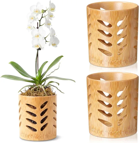 Vista 7 de Paquete de 2 macetas de bambú, maceta redonda transpirable de 4 pulgadas con diseño hueco para un flujo de aire óptimo, orquídea marrón claro