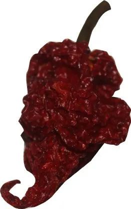 Vista 4 de Salsa picante Scorpion Cola roja Salsa de chile Trinidad Moruga