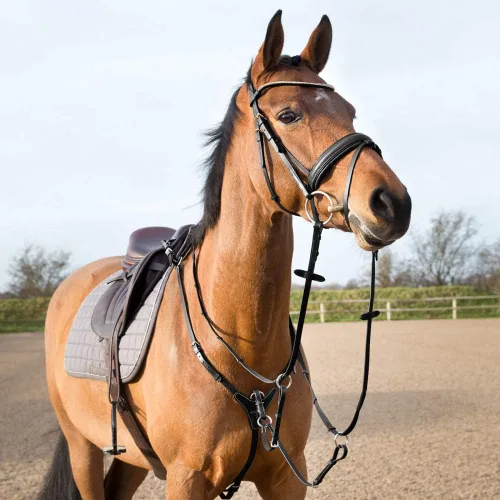 Vista 2 de Horze Peto ajustable de 3 puntos - Negro - Caballo