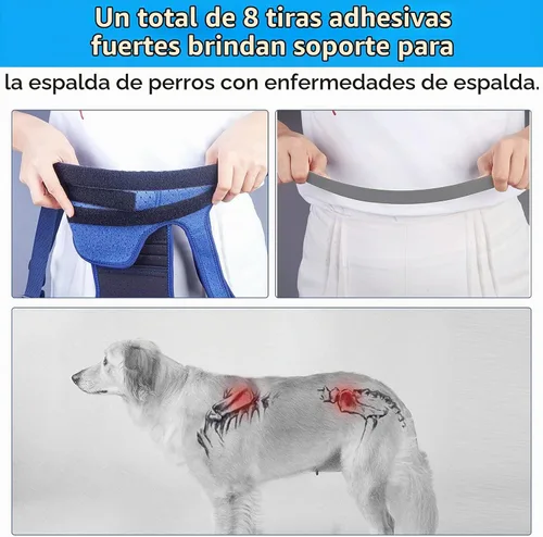 Vista 3 de Coodeo Soporte de espalda para perros para artritis, soporte de espalda para mascotas para IVDD, protector de espalda ayuda a aliviar el dolor Negro