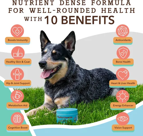 Vista 6 de Natural Dog Company Paquete de suplementos multivitamínicos y calmantes, nutrientes diarios y alivio de la ansiedad para perros, apoya la salud