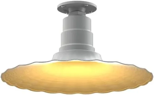 Vista 16 de Steel Lighting Co. Colgante Eagle Rock Lámpara montada en el techo Onda radial de 16 pulgadas vástago de 12 pulgadas Acero resistente