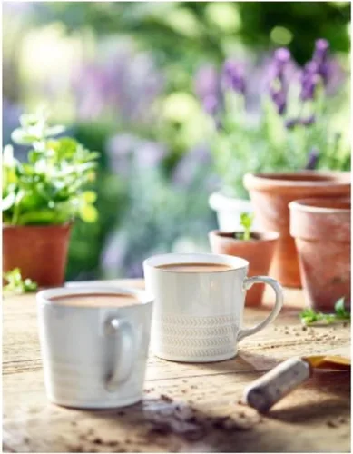 Vista 6 de Bolsitas de té Yorkshire de Taylors of Harrogate