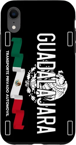 Vista 25 de Guadalajara License Plate Aesthetic, Jalisco Guadalajara Case for iPhone 17