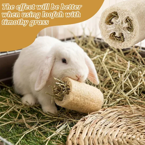 Vista 4 de 3Pcs Rabbit Chew Toys Bunny Toys Rabbit Feeder Natural Loofah Toy