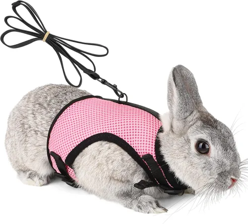 Vista 9 de PETTOM Arnés para conejos con correa elástica, lindo arnés ajustable con hebilla, chaleco de malla transpirable para gatitos y mascotas pequeñas