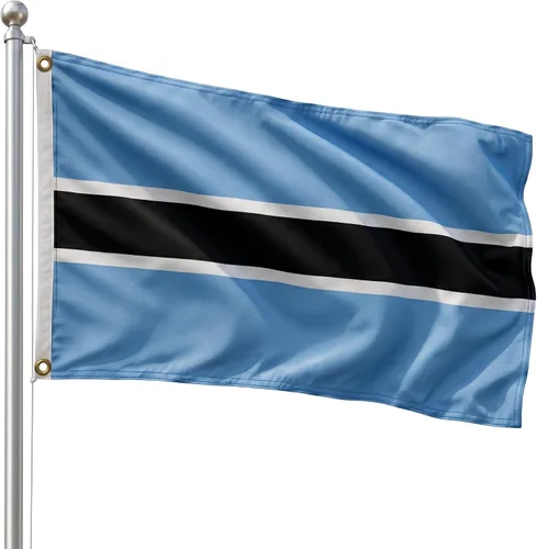 Vista 87 de DMSE - Bandera nacional beninesa beninesa de la República de África Occidental, 2 x 3 pies, 100 % poliéster, 100 % poliéster, resistente a los rayos