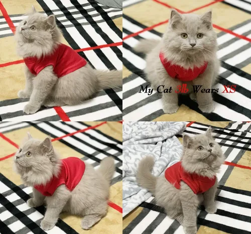 Vista 3 de Camisas para perros, ropa para mascotas, ropa en blanco, 3 piezas, chaleco para cachorros, ropa para gatos, chalecos de algodón suave