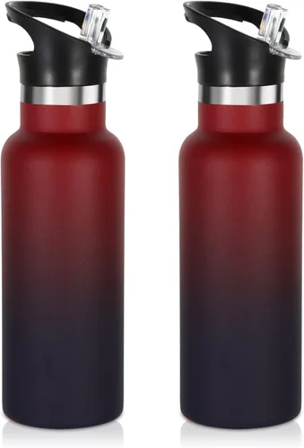 Vista 9 de Volhoply Botella de agua aislada para niños de 17 onzas, botellas de agua de acero inoxidable con tapa con pajilla, botella de agua de metal al