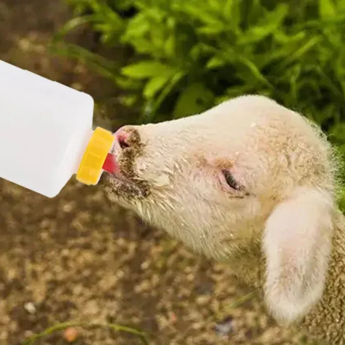 Vista 4 de Juego de pezón y biberones de cabra, 12 piezas de bebida de leche para animales pequeños, 2 piezas de 13.5 fl oz, kit de biberón de cordero