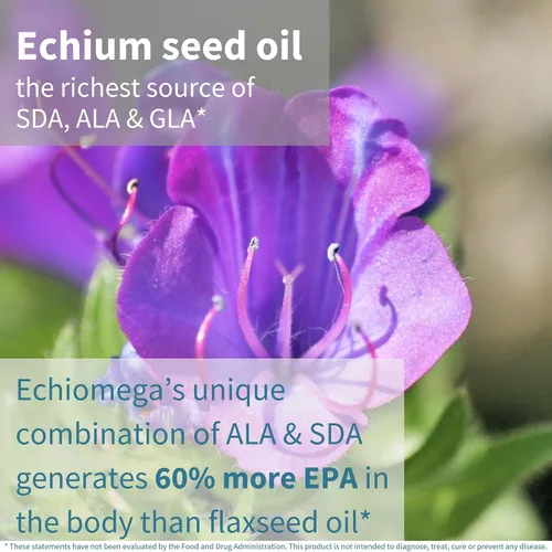 Vista 3 de Echiomega Vegan Triple Omega 3 6 9 500 mg, aceite de semilla de Echium, suplemento EFA para mujeres con GLA, 60 cápsulas blandas