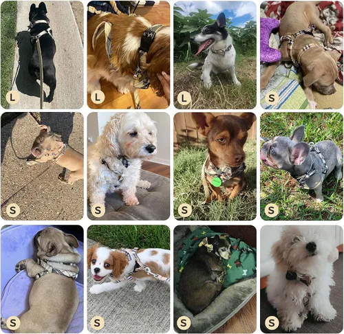 Vista 6 de Juego de arnés para perro con correa y collar de corbatín - Arnés para cachorro a cuadros beige, a prueba de escape, chaleco ajustable sin tirones