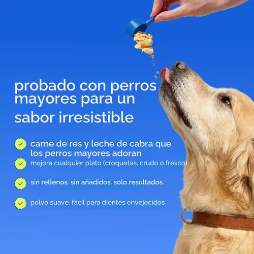 Vista 9 de Native Pet Vitaminas y suplementos diarios para perros mayores – Polvo multivitamínico 12 en 1 para perros mayores – Apoya la movilidad