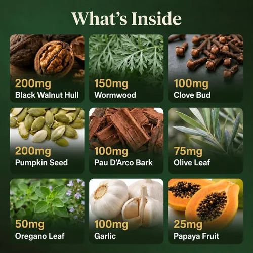 Vista 4 de Apoyo intestinal herbario liposomal, desintoxicación y limpieza, ajenjo
