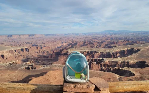 Vista 6 de Jaula de transporte de pájaros, cápsula de espacio transparente, mochila de astronauta para llevar periquitos, cacatúas, loro con bandeja de metal