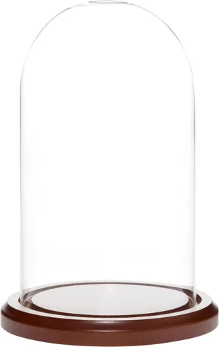 Vista 3 de Plymor Cúpula de cristal de 4.5" x 8" (base de chapa de roble)