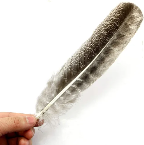 Vista 3 de ZZHXSM 12 plumas de pavo natural de 8 a 10 pulgadas para hacer manualidades, decoración de ropa, familia, boda, decoración de fiesta de cumpleaños