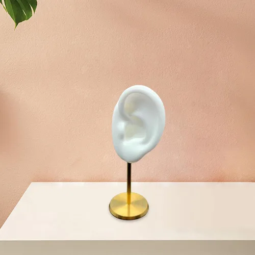 Vista 3 de Colaxi Soporte de exhibición de aretes, soporte de oreja para modelo, herramientas de enseñanza, decoración de escritorio duradera con base estable