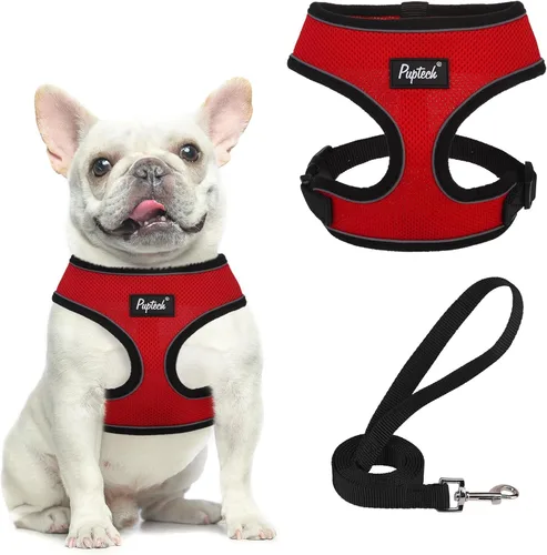 Vista 21 de PUPTECK Juego de arnés y correa de malla suave para perro, cachorro y gato, cómodo chaleco acolchado sin tirones, azul Pascua, S
