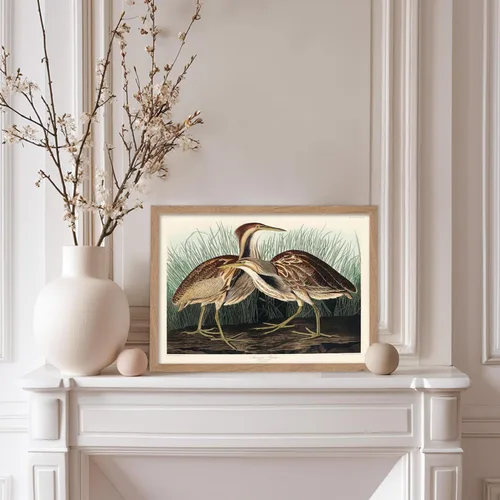 Vista 5 de Poster Master Póster vintage de James Audubon – Impresión retro de amargo americano – Arte de aves de América – Regalo para hombres, mujeres