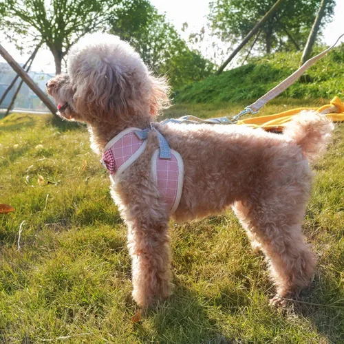 Vista 5 de Voopet - Arnés para perro fácil de poner y quitar, chaleco con malla delantera acolchada para cachorro con correa, arnés ajustable para mascotas sin