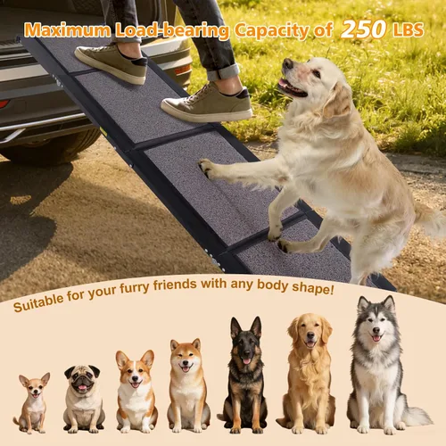 Vista 2 de IUNNDS Dog Ramp for Car 63"x17" Portable Dog Ramps for Large Dogs with Non-Slip Rug Surface for SUV Car & Truck, Outdoor Folding Pet Ramp Up to