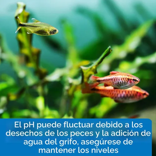 Vista 5 de API Kit de prueba de pH para acuario de agua dulce de 250 pruebas, juego de 4 piezas