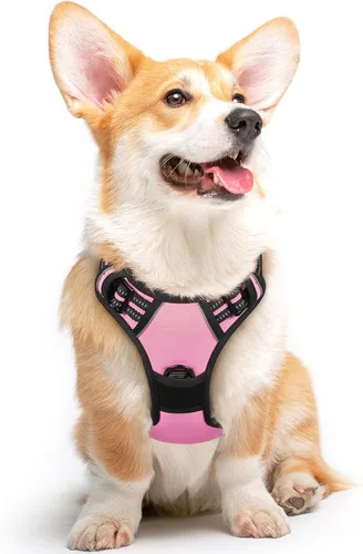 Vista 18 de Eagloo Arnés para perro pequeño, sin tirones, chaleco de servicio con tiras reflectantes y asa de control, ajustable y cómodo para caminar, arnés