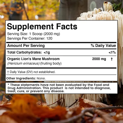 Vista 2 de WELLNESS LABSRX Polvo de melena de león, suplemento de hongos – 2000 mg – Suplemento de melena de león – Complementos cerebrales en polvo de hongo