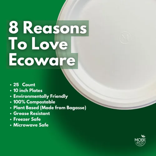 Vista 3 de Platos de papel, 100 % compostables, 10 pulgadas por 0.5 pulgadas de profundidad, plato desechable resistente, certificado (BPI), sin (PFAS)