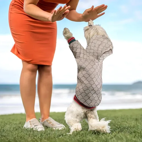 Vista 3 de Sudadera con capucha para perro de diseño clásico, abrigo de lujo para cachorros, abrigo cálido para mascotas, diseño de cremallera, ropa de peluche