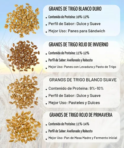 Vista 8 de Palouse - Bayas de trigo blanco duro sin glifosato certificadas por la marca 1 libra